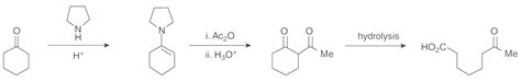 Preparation Of Pyrrolidine Enamine And Acetylation From Cyclohexanone