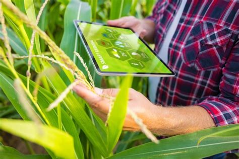 Premium Photo Farmer In Corn Field Using Digital Tablet For Smart Farming