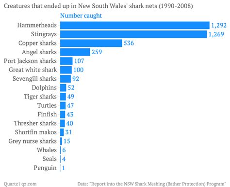 Western Australia’s war on sharks won’t make swimmers any safer — Quartz