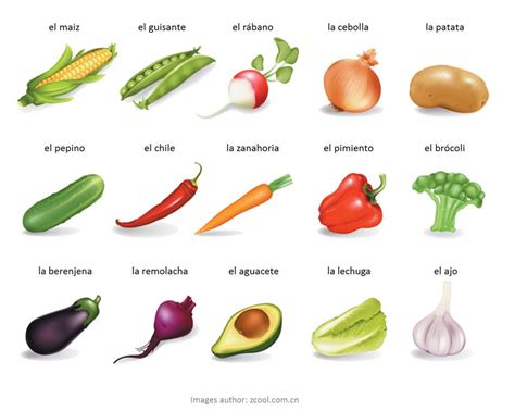 Verdura Vegetable Vocabulary Italian Vocabulary Spanish Vocabulary