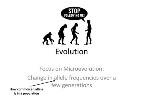 PPT - Evolution PowerPoint Presentation, free download - ID:2842115 