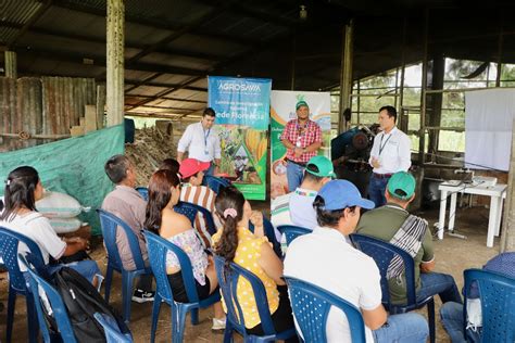 Agrosavia Apoya Productores Asopanela En La Obtenci N De Un Registro Ica