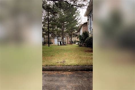 Park Place Apartments 177 Shady Park Dr Denham Springs La For Rent