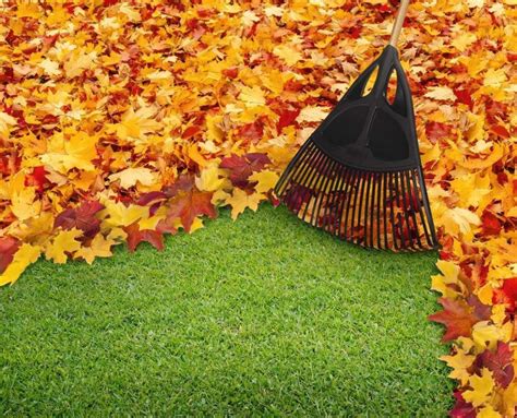 Fall Leaf Clean Up And More Tnt Landscaping And Excavation