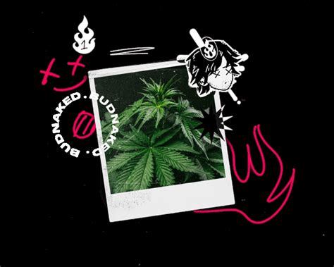 Bud Naked Carts Buy Bud Naked Disposable Bud Naked Flower