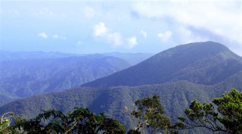 Major Mountains in Jamaica | About Jamaica