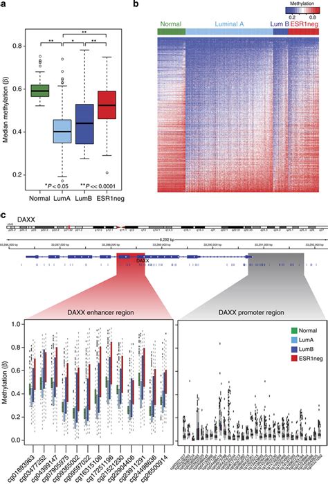 Association Between ESR1 Enhancer Methylation And Breast Cancer