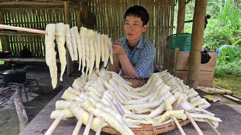 Harvest Bamboo Shoots Process And Preserve Cooking Solo Survival