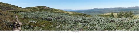 199 Dovre national park Images, Stock Photos & Vectors | Shutterstock