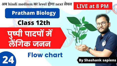 Ch02 Sexual Reproduction In Flowering Plants Flow Chart Lec 24