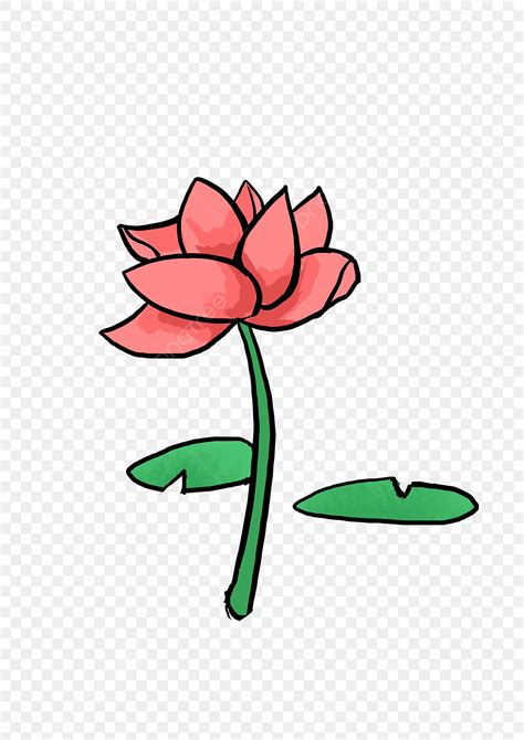 Pink Lotus Clipart Hd Png Pink Lotus And Lotus Leaf Pink Lotus Green