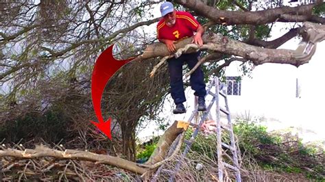 Extremely Dangerous Tree Cutting Fails With Chainsaw 2024 Idiots Tree