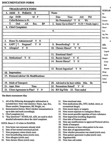 Sample Documentation Form Triage Nurse Triage Nursing Nursing