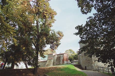 Premium Photo | Beautiful park in the castle of the city of przemysl