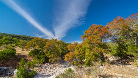 Texas Hill Country Ranches For Sale | Republic Ranches