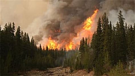 Climate change, wildfires in vicious cycle | CBC News