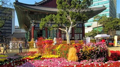 Jogyesa Temple: How To Get There What To See – The Soul, 43% OFF