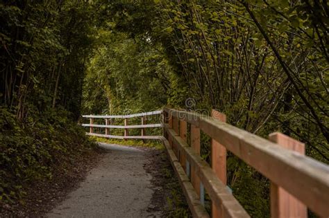 Asphalt Road Leading Through Bushes And Trees In Countryside Lovely