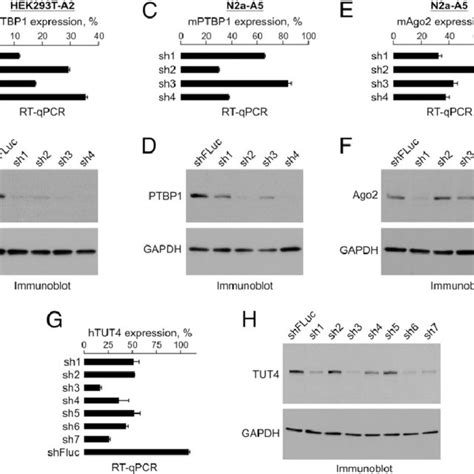 developing  hilo rmce technology  diagram   hilo rmce