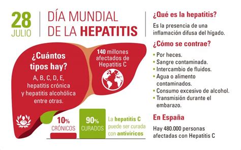 Las Hepatitis Víricas Afectan En Torno A 400 Millones De Personas En El