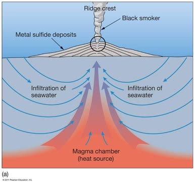 Hydrothermal Vents Diagram