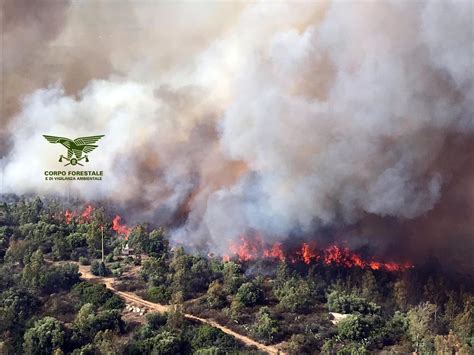 Brucia La Sardegna Decine Di Incendi Piromani Vigliacchi E Criminali