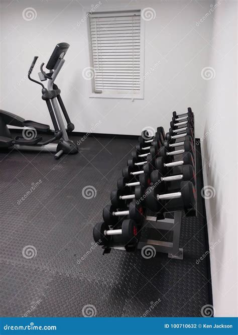 Dumb Bells stock photo. Image of rack, bells, dumbbell - 100710632