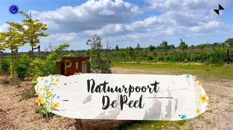 Natuurpoort De Peel Deurne Youtube