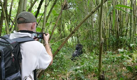 Rwanda Gorilla Trekking Families Eco Adventure Safaris