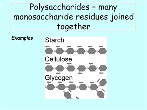 Ppt Carbohydrates Powerpoint Presentation Free Download Id2560890