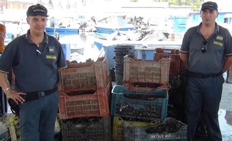 Taranto Sequestrate Due Tonnellate Di Cozze Allevate In Mare Con