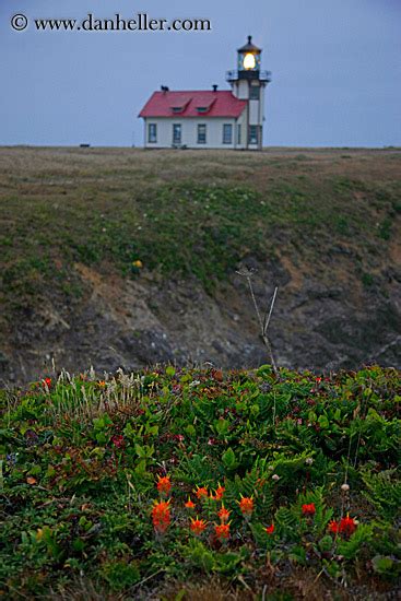 Lighthouse And Flowers