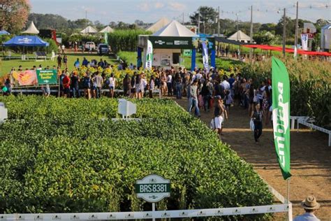 Agricultura Novos Acessos De Entrada E Sa Da E Conqueijo S O