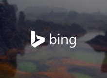 Bing Homepage Quizzes Wombat 1234 Bingnewsquiz