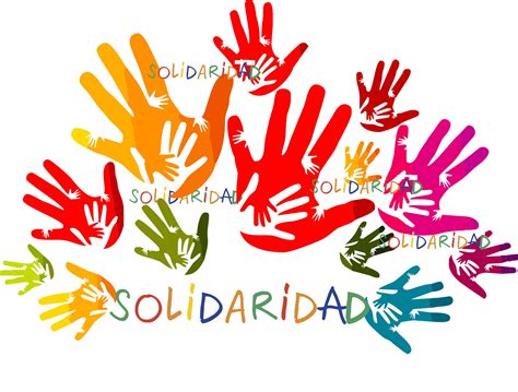 5º Y 6º Solidaridad I Rossmar