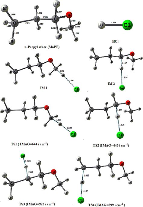 Optimized Geometries Of Reactants Intermediates And Transition States