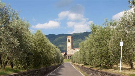 Pedaling, unhurriedly, through Reggello - Visit Reggello Tuscany