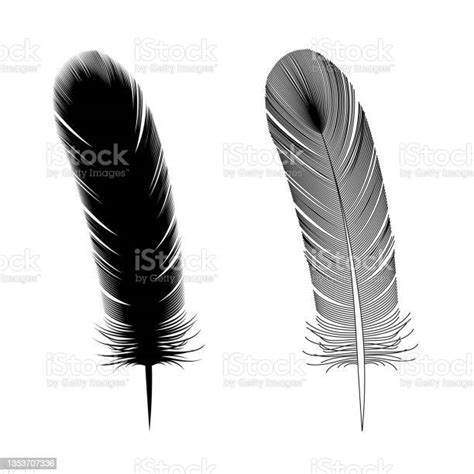 Illustration Of Bird Feathers Stock Illustration Download Image Now Istock