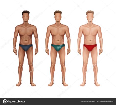 Three Male Body Types