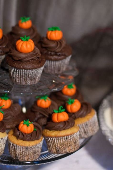 Cupcakes With Chocolate Frosting And Mini Pumpkins Are Arranged On A