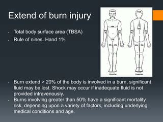 Introduction To Management Intervention Burn Ppt