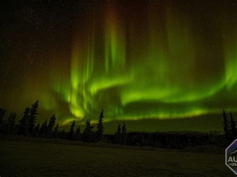 Aurora In Alaska | Aurora Viewing Adventure | Alaska TourSaver®