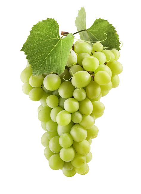 18 tipos de uvas Guía completa