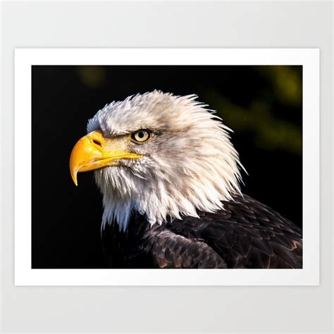 Bald Eagle Art Print by knm designs | Society6