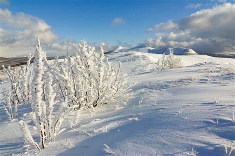 Winter Mountains Landscape, Bieszczady National Park, Poland Stock ...