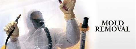 Mold Removal Service