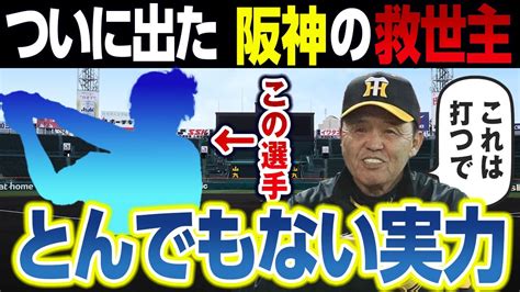 ついに出た阪神の救世主！みんな待ってたこの選手は堂々の打率3割でとんでもない実力だった！ Youtube