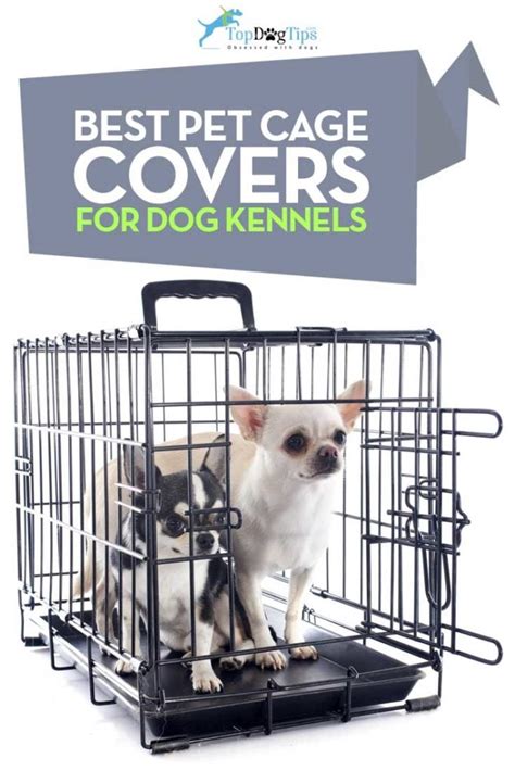 5 Best Dog Cage Covers for Dog Crates in 2020 (Review Update)