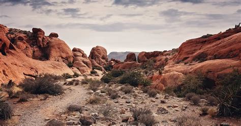 11 Best Las Vegas Hiking Trails: Explore The Outdoors - HikingInk