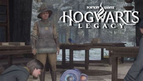 Balai Hogwarts Legacy Comment D Bloquer Toutes Les Am Liorations Avec